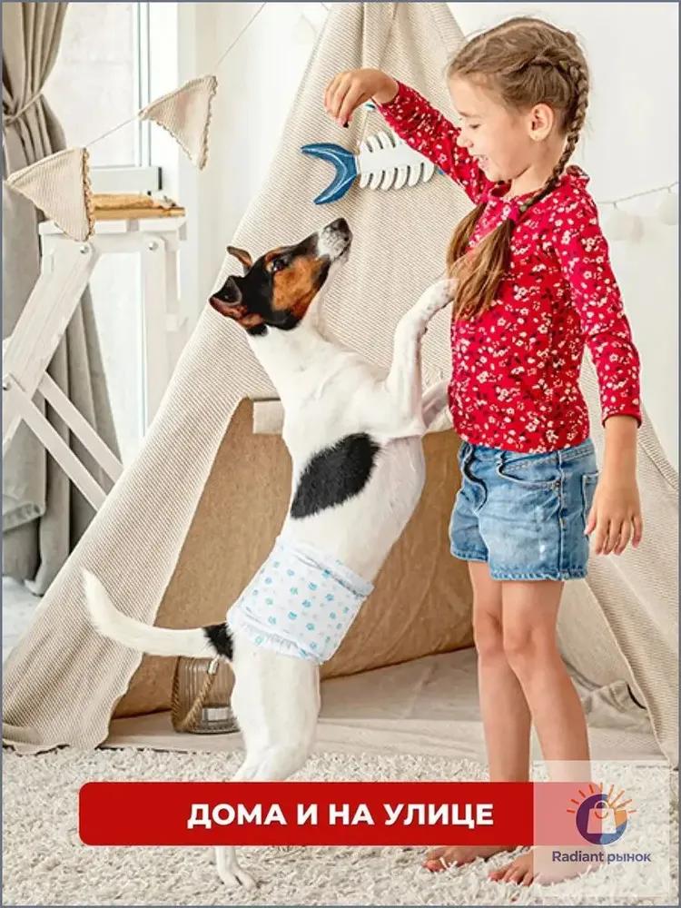 Small dog diapers belts for dogs size S 12 pcs