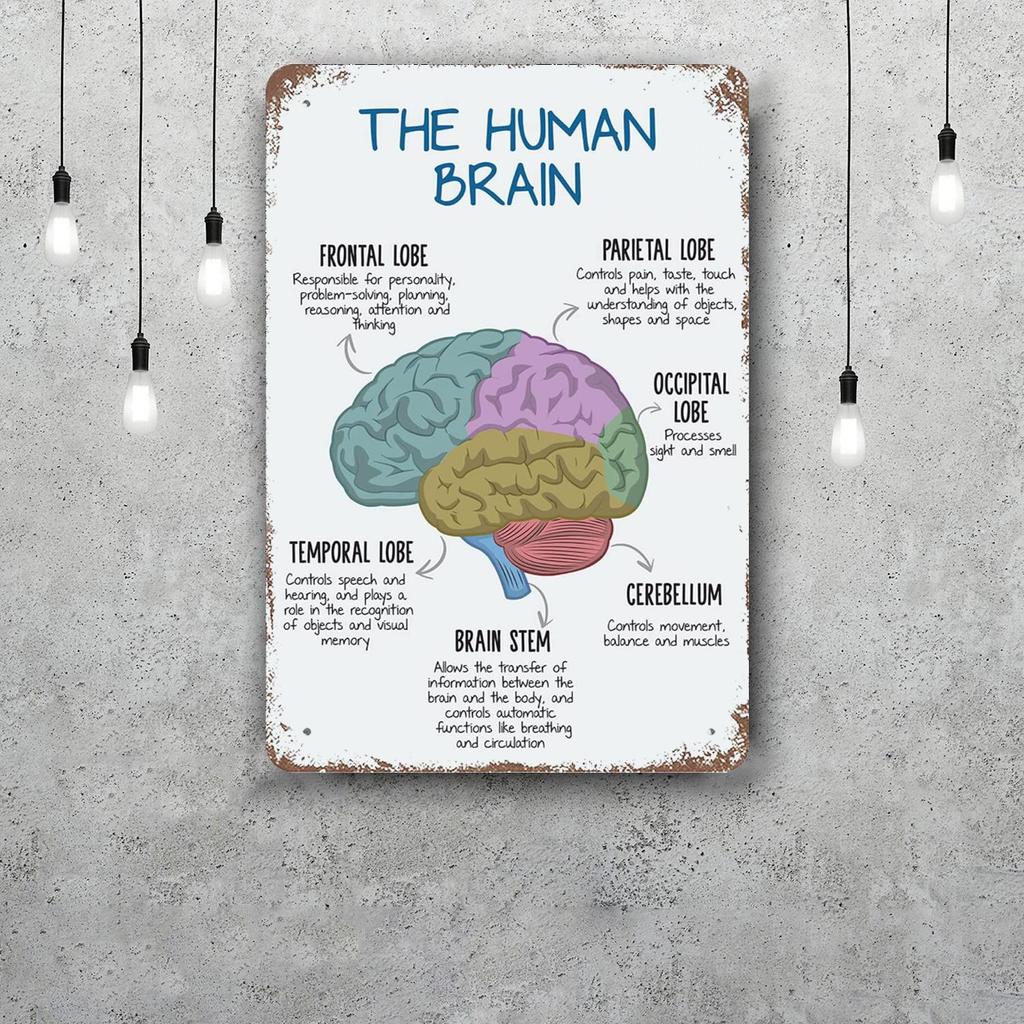 Brain Funny Bar Metal Sign Retro Plaque Vintage Sign Alcohol Drinker Pub Club Man Cave Kitchen Wall Decoration