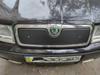 Χειμερινή σχάρα (ανώτερος) Ματ για Skoda Octavia I Tour A4 1996-2010