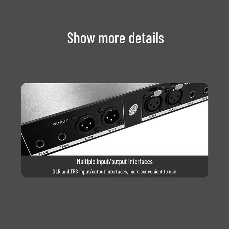 TAKSTAR TE-2024 Digital Feedback Suppressor