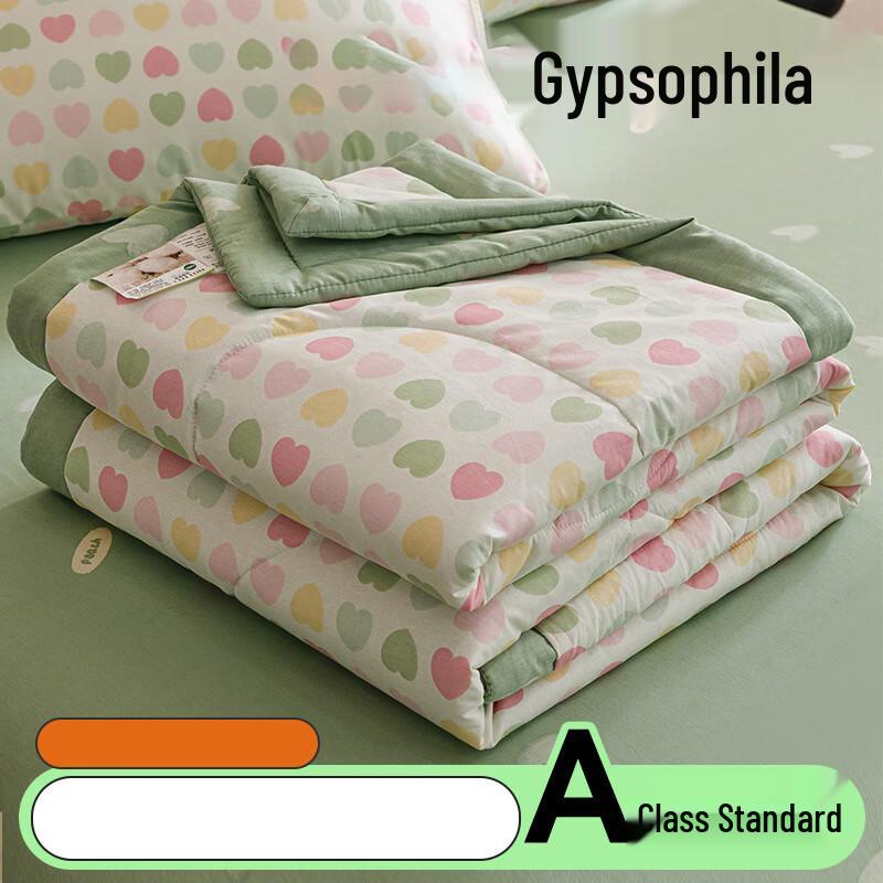 

Ailan Huijia Printed Washable Cotton Blend Summer Quilt 150x200cm