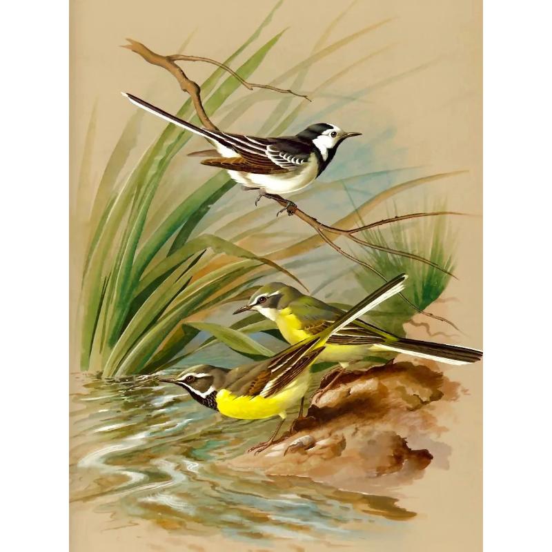 Canvas paintings, animals, birds, home decor, gift craftsmanship, living room, bedroom, wall decoration