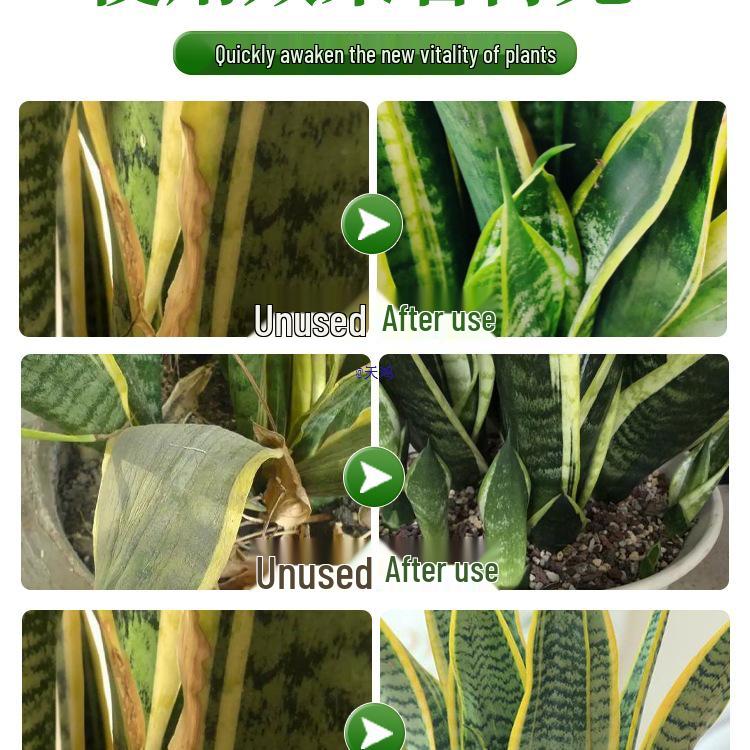 Snake Plant Flower Nutrient: Water-Soluble Fertilizer for Golden Edge Green Potted Plants, No Dilution Needed