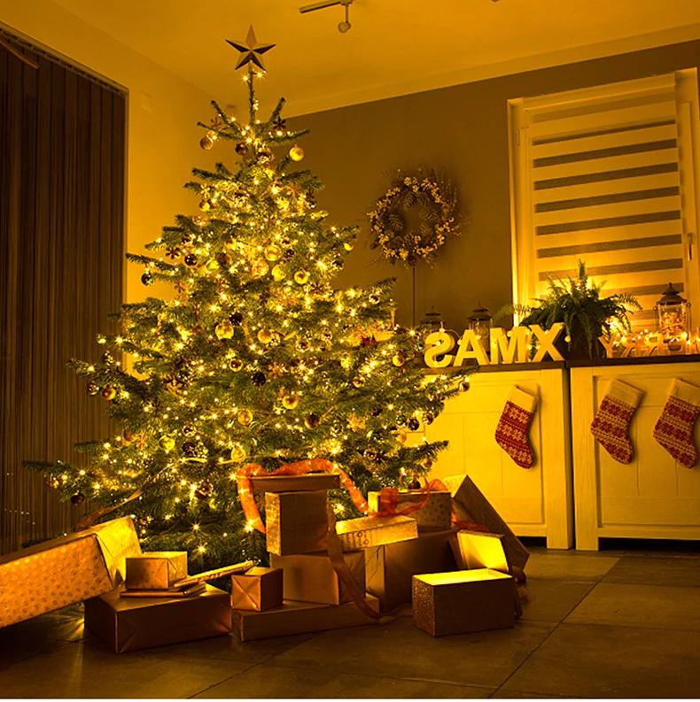 To 24v Dc Led 220v Leather Fairy Lights String Garland Christmas Light For Home Bedroom Garden Wedding Party Decoration With Eu Plug