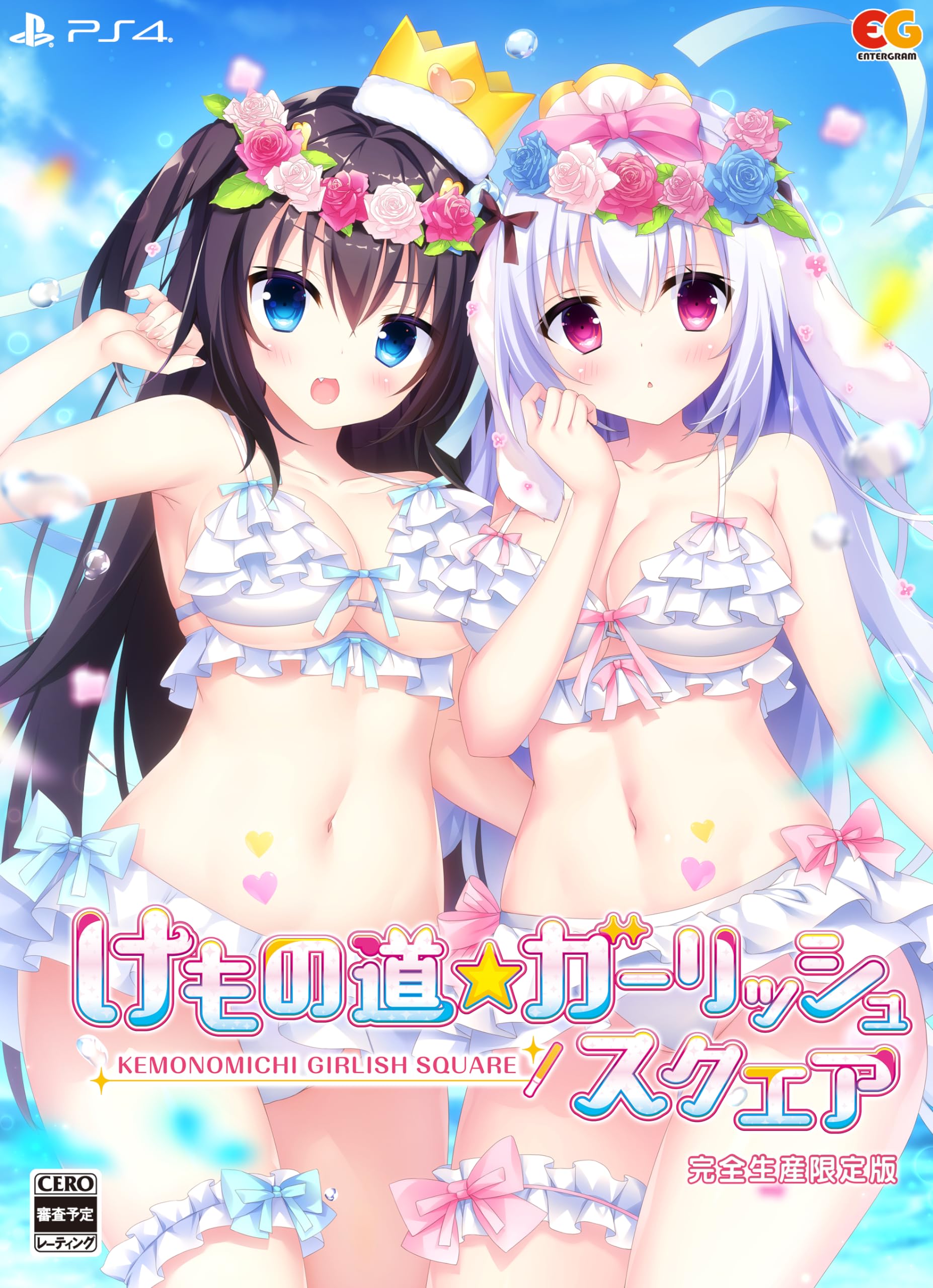 Kemonomichi Girlish Square Limited Edition PS4 B2 acrylic figure included - [Bonus] tapestry,