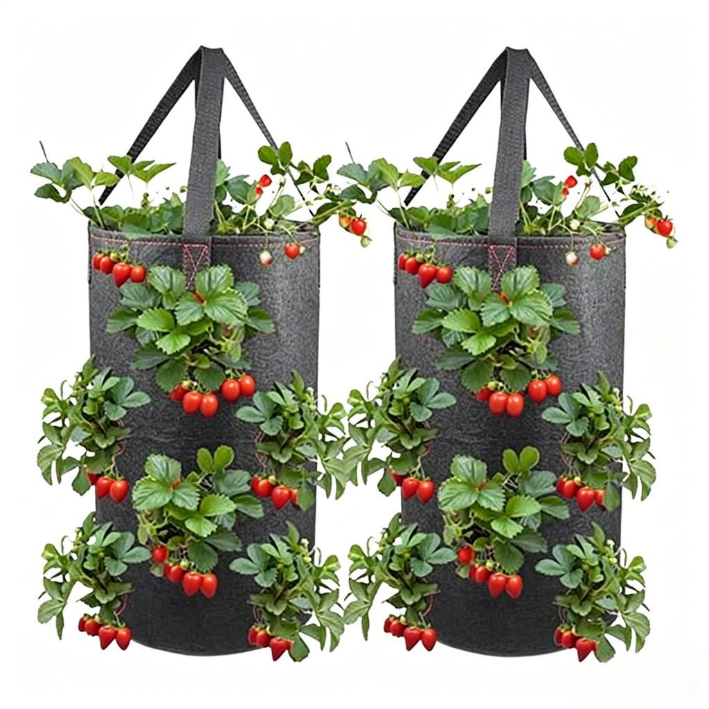 2Pcs Hanging Grow Bags for Strawberries Tomatoes Hanging Planting Grow Bag 11 Planting Holes Garden Strawberry Planter Pot