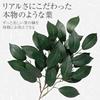 Comolife Sakaki Trees for Shinto Altars (2 Bunches) - Artificial Sakaki Flowers, 34cm Long, Wired, Adjustable Height, Never Withers, Realistic