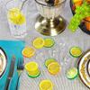Lanito Artificial Lemon Simulated Set of Fruit Food Realistic Fruit Photography Summer Party Room Ornament Fruit, Ice, 27, Model, Sample, Model, Prop,