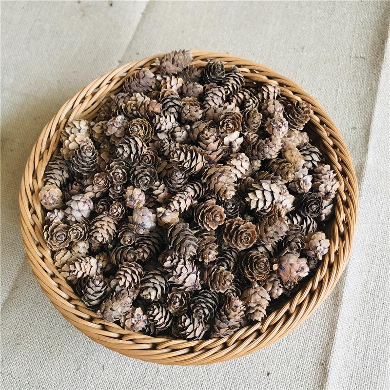 Christmas Pine Cones & Dried Flowers Pack - Eucalyptus, Pine Wood, Cotton, Handmade Photography Props