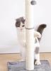 Arranhador de gato com poste - construção estável 80 cm.