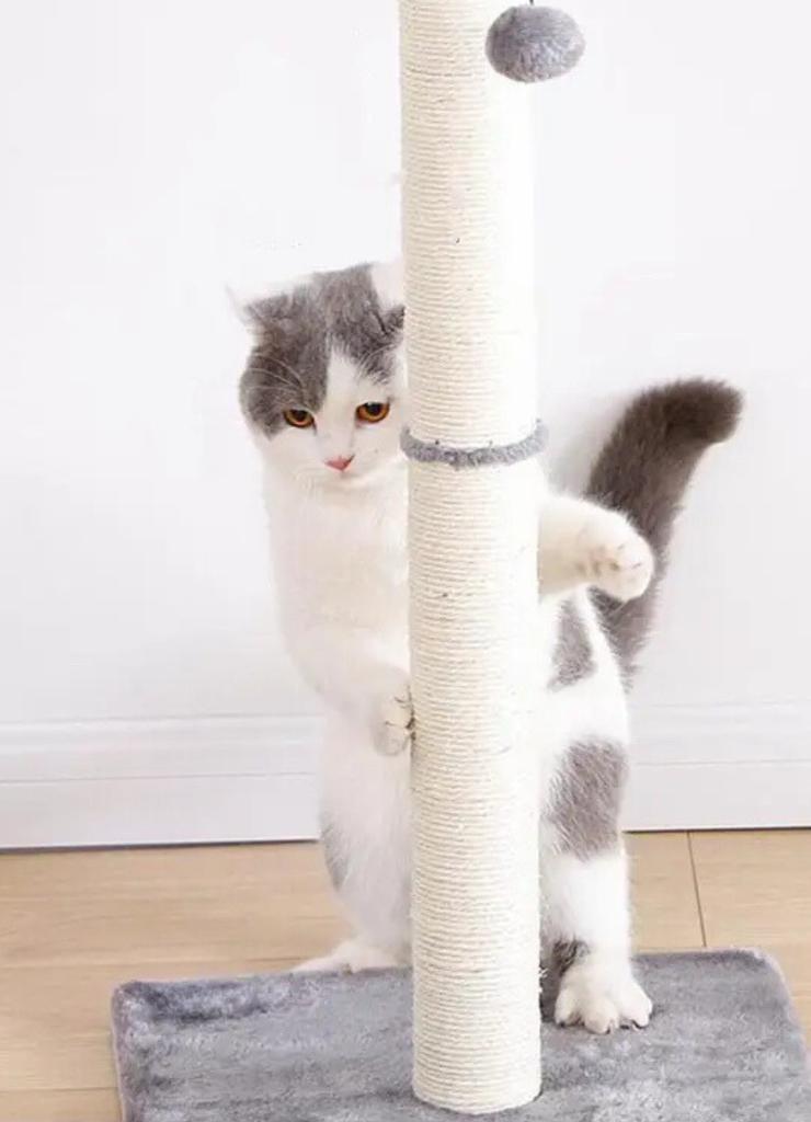 Arranhador de gato com poste - construção estável 80 cm.