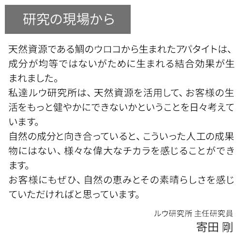 RUKEN Kirarun Toothpaste Powder Type, Mint, 55g (x 1)