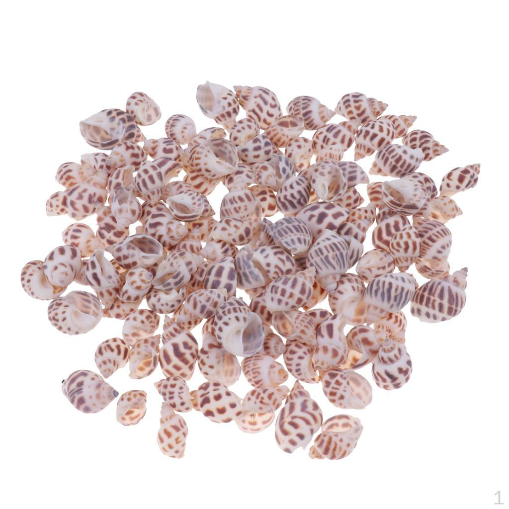

Wedding Table Decor In Aquarium Fish Tank-500g #2 500g