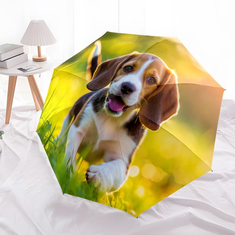 1pc Dog Lover Cute Pet Chihuahua VIP Border Collie Dog Umbrella Portable Folding Umbrella Iron Frame Hole Bone Structure Outdoor Home Umbrella H2