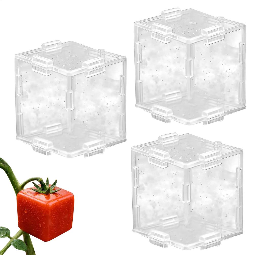 

Fruit Shaping Mold For Growing 3 Pieces Triangular And Cubic Transparent Mould Watermelon Growing Mold For Cucumber Tomato
