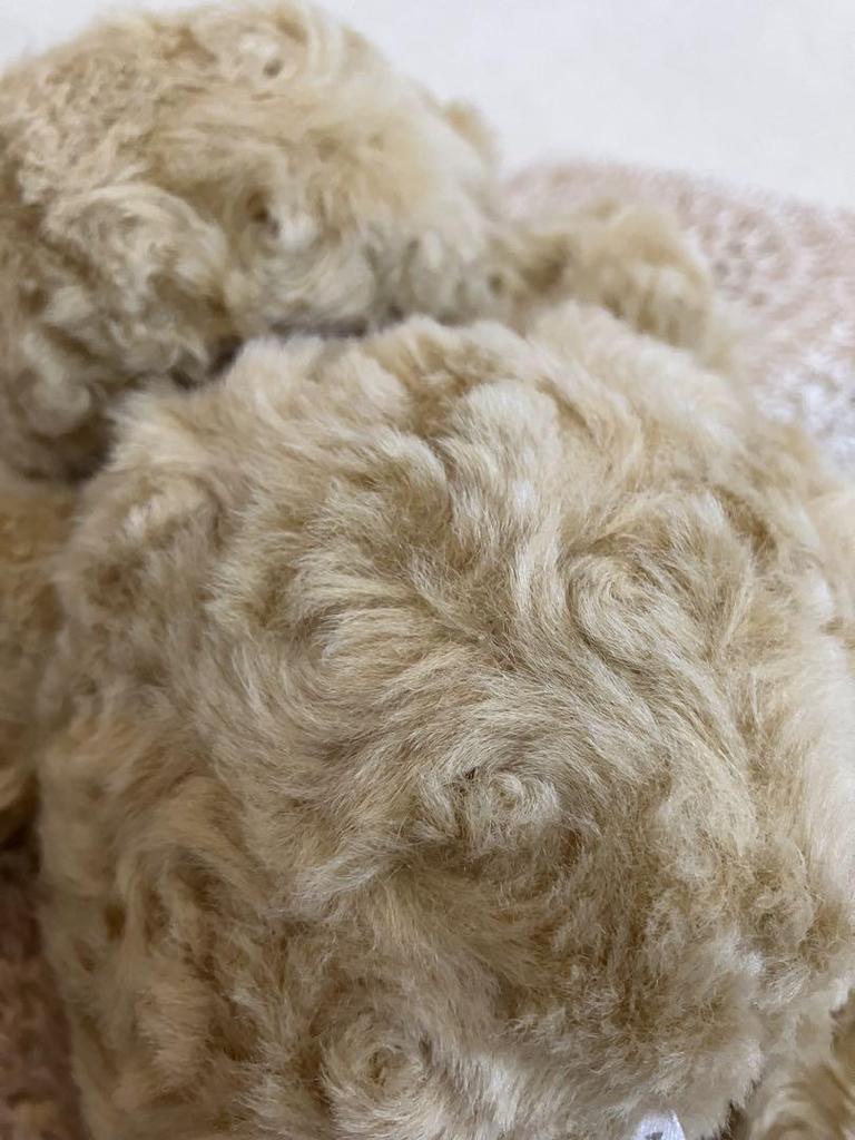 [USED] Beautiful Retro Sun Lemon Pajama Pocket with Teddy Bear