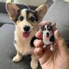 Chaveiro Personalizado com Foto de Cachorro - Chaveiro Personalizado com Foto de Gato - Presente Memorial de Animal de Estimação em Acrílico - Presente de Feriado para Amantes de Animais de Estimação