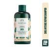 The Body Shop Veganes Shea Intense Repair Shampoo 250 ml Für Trockenes Bis Sehr Trockenes Haar
