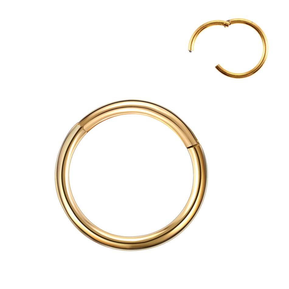6/8/10/12mm Stainless Steel Nose Rings Hoop for Women Men 18G 16G Cartilage Piercing Body Jewelry Segment Lip Ring