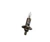 H1 24V Magneti Marelli Bulb