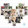 Personalized Dog Collar Cool Skull Head Pet Neck Strap Pet Supplies Cat Necklace  Puppy