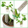 1/2Pcs Plastic Self Watering Device Moss Pole Plant Cages Plant Support Poles Plant Sticks Climbing Stand Garden Accessories