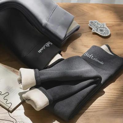 Dames Winterlegging met Hoge Taille en Dikke Fleece - Warme, Slankmakende, Skinny Fit Broek voor Studenten.