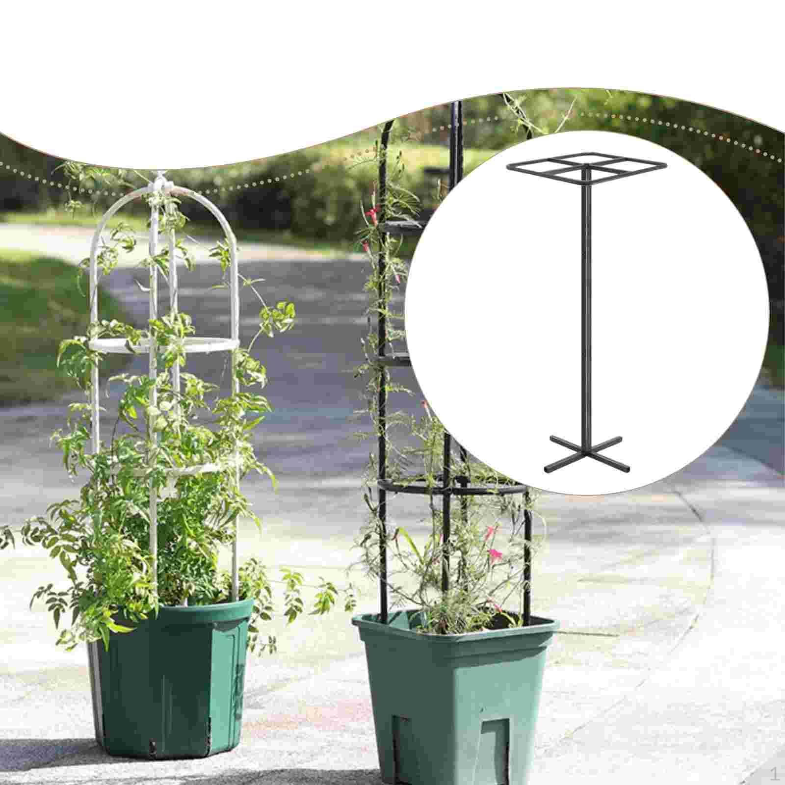 Dragon Fruit Trellis Plant Support for Vertical Gardening and Climbing Plants, Metal Adjustable,