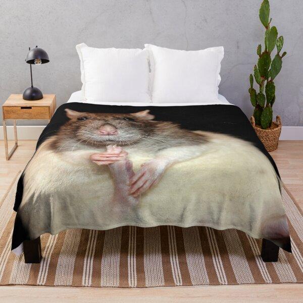 Blanket are a cute rat