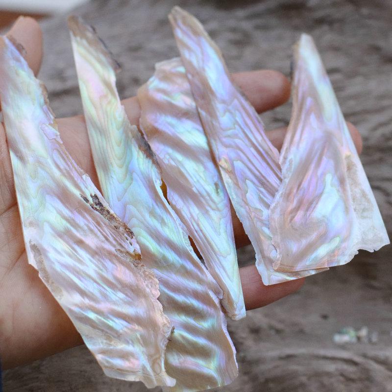 Iridescent Abalone Shell Inlay: Decorative Lacquer Pieces for Musical Instruments and Nail Art.