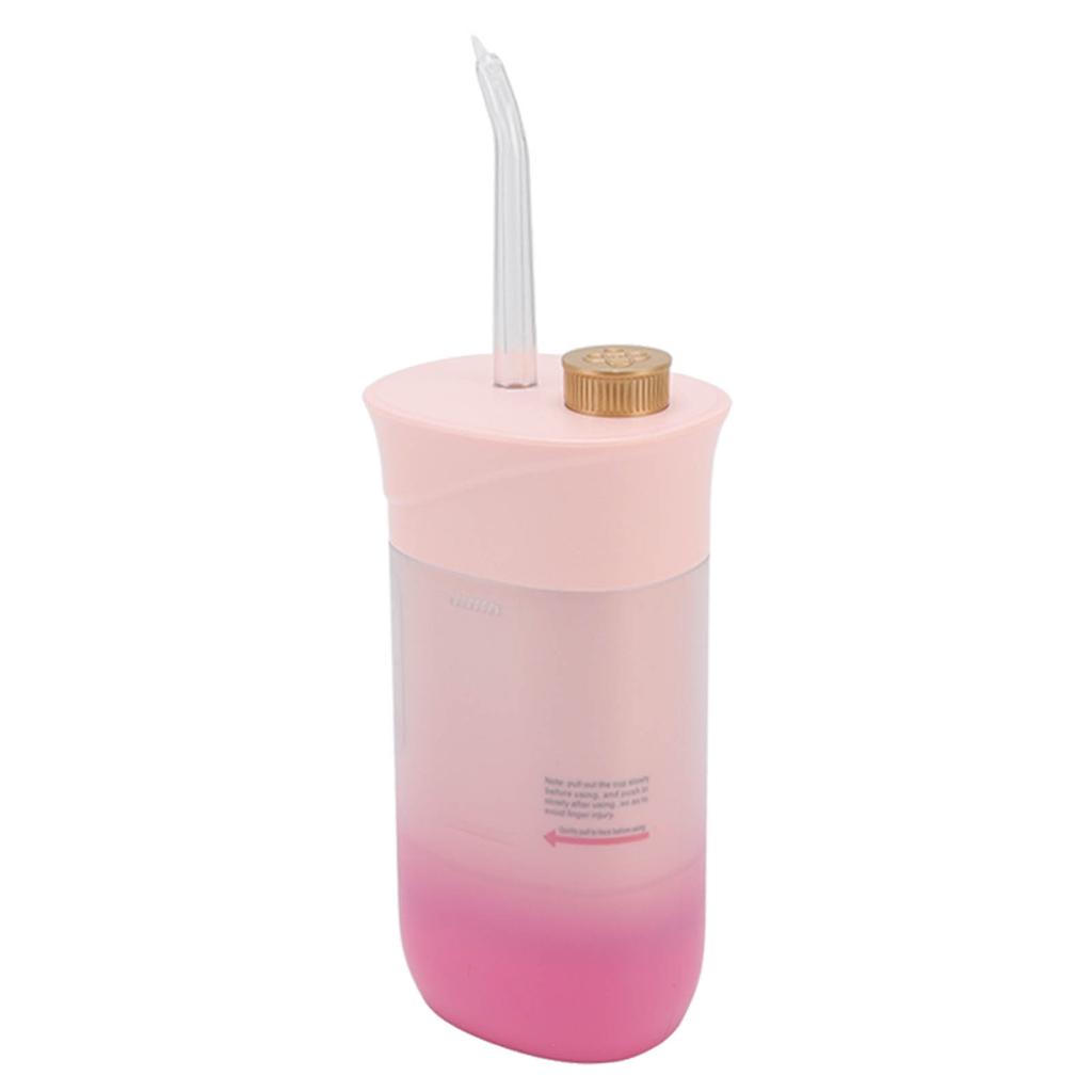 Electric Flosser 220ml 3 Modes 4 Tips Deep Oral Cleaning Prevent Tooth Decay Water Floss for Teeth