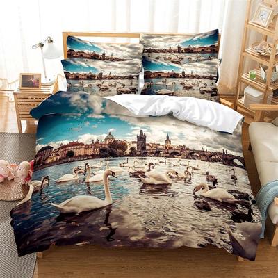 Comfortable Stylish Pattern Bedding Set With Duvet Cover And Pillowcases King Queen Twin Sizes For All Ages
