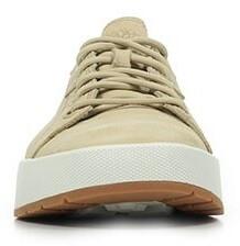 Кроссовки Timberland Maple Grove Low Lace Sneaker