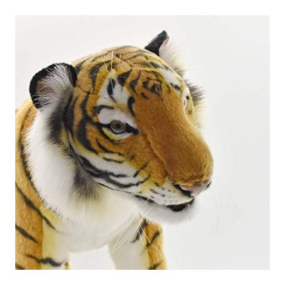 BH5332 HANSA Tiger 70