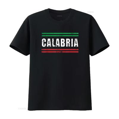 Womens Calabria Flag Italia Italy Italiano Vintage Retro Fade T Shirt Black Medium Vintage Washed Casual Soft Stylish