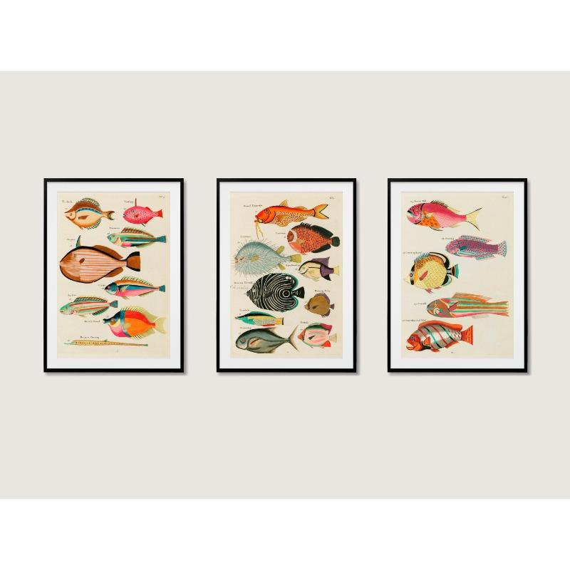 3pc Vintage Tropical Fish Canvas Wall Art Antique Nautical Illustration Printing for Eclectic Home Decor,Ideal Ocean Lover Gifts