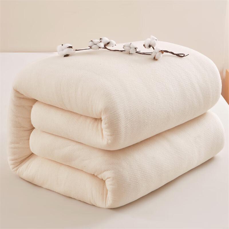 Muji 100% Xinjiang Cotton Quilt