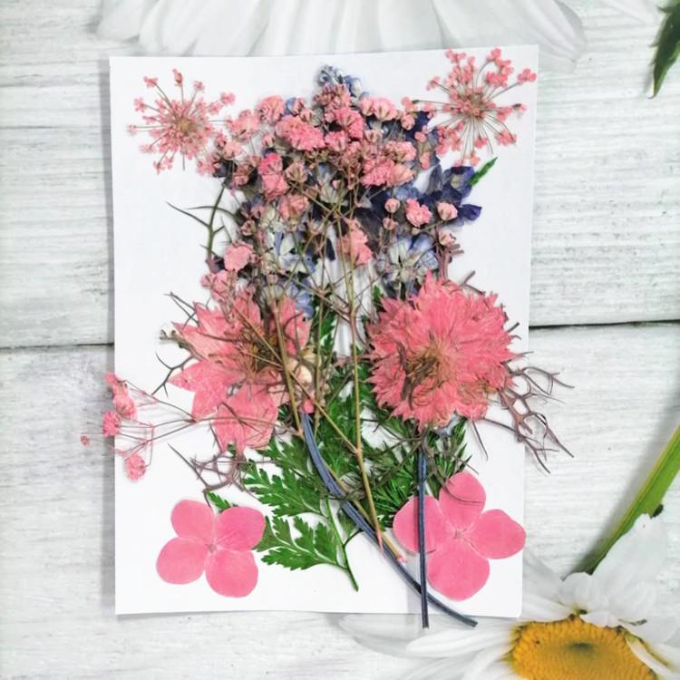 Pressed Dried Flower DIY Kit: Bookmark, Resin, & Phone Case Embossing Materials