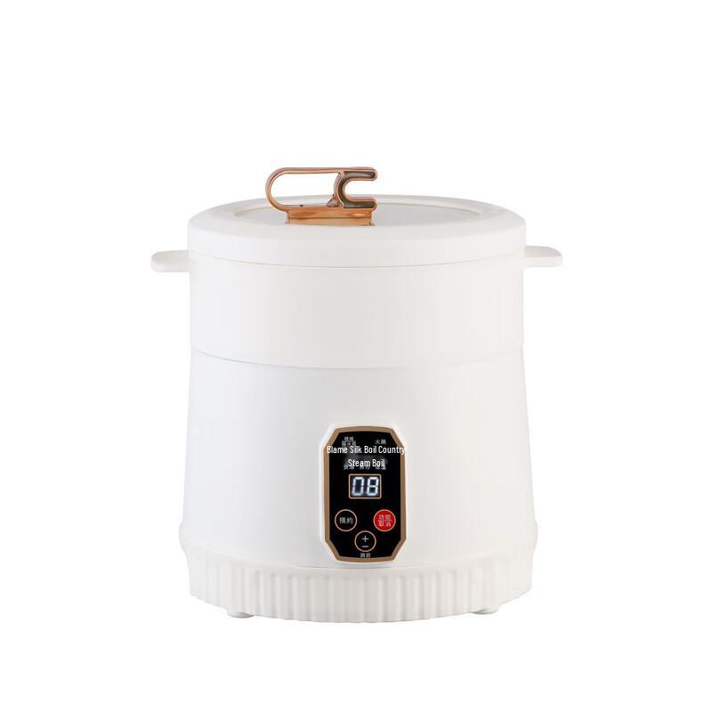 Mini Smart 2-in-1 Electric Rice Cooker & Hot Pot