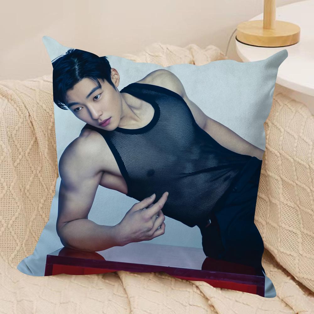 

Woo Do HHwan Cushion Cover Silky Short Plush Invisible Zipper Dustproof Sofa Pillow Case for Home Decor 30x30 cm