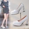 Fashion 35-44 Large Women's High Heels Platform Thick Heels Mary Jane Shoes Small Square Head Set Silver Womens Shoes