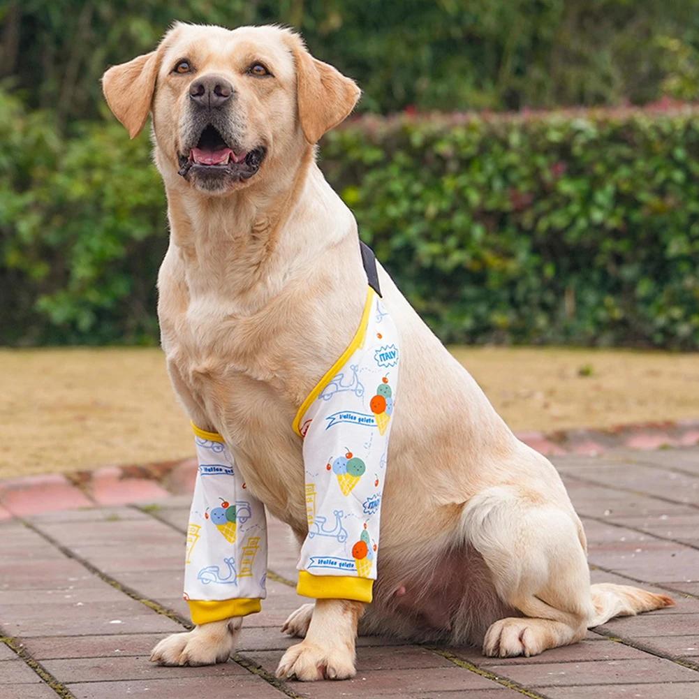 Pet Knee Pads for Joint Injury Recovery Legs Protector Dog Thigh Brace Wrap Adjustable Support Belt Post-operative Fixation