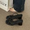 French niche thick heel cool slippers outside fairy shoes in the summer of 2025 new thin strap middle heel with skirt sandals