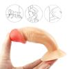 Unisex Adult Sex Toys Realistic Dildo PVC Penis with Suction Cup G Spot Anal Plug, Female Masturbator, Sex Toys