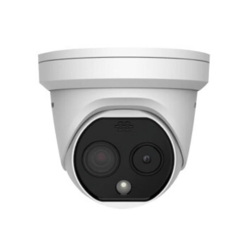 

Hikvision Dual-Spectrum Thermal Hemispheric Temperature Measurement Camera CN plug (adapter included)