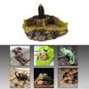 Food Dish Water Bowl Feeder Basin for Amphibians