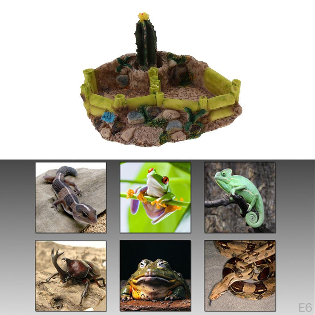 Food Dish Water Bowl Feeder Basin for Amphibians
