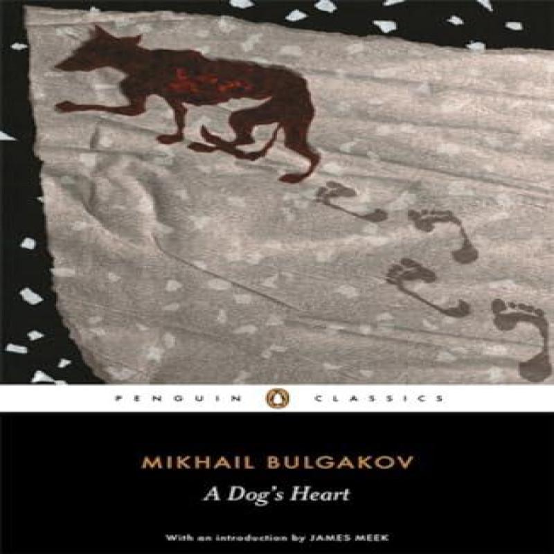 Ein Hundeherz von Michail Bulgakow Taschenbuch 9780140455151