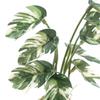 Mini Plastic White Variegated Monstera Leaf Decoration For Dollhouses Accessories And Toy Furniture