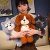 Cute Cat Doll Plush Toy Beagle Doll Children's Company Soothing Rag Doll Birthday Gift